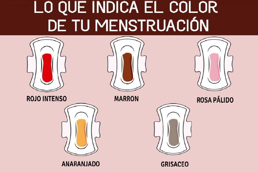 Top Imagenes De La Regla Menstrual Destinomexico Mx
